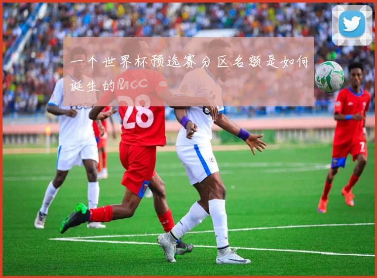 一个世界杯预选赛分区名额是如何诞生的？