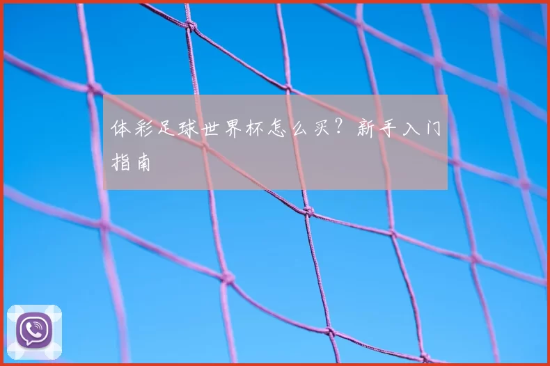 体彩足球世界杯怎么买？新手入门指南