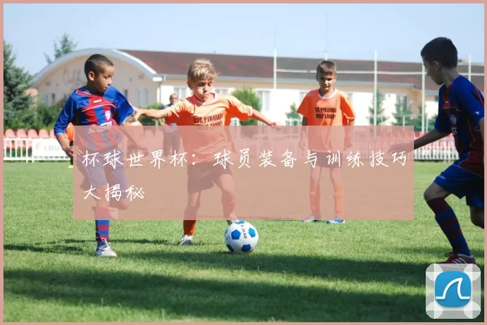 杯球世界杯：球员装备与训练技巧大揭秘