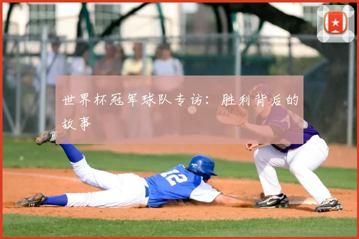世界杯冠军球队专访:胜利背后的故事