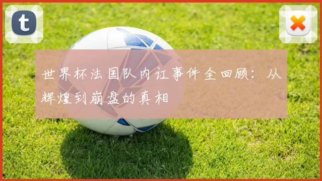 世界杯法国队内讧事件全回顾：从辉煌到崩盘的真相