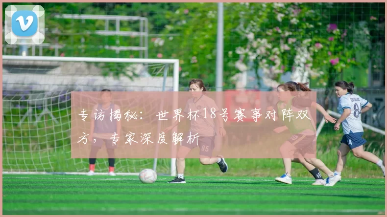 专访揭秘：世界杯18号赛事对阵双方，专家深度解析