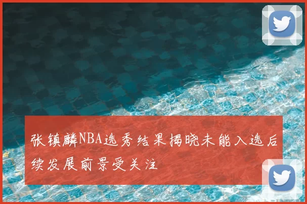 张镇麟NBA选秀结果揭晓未能入选后续发展前景受关注
