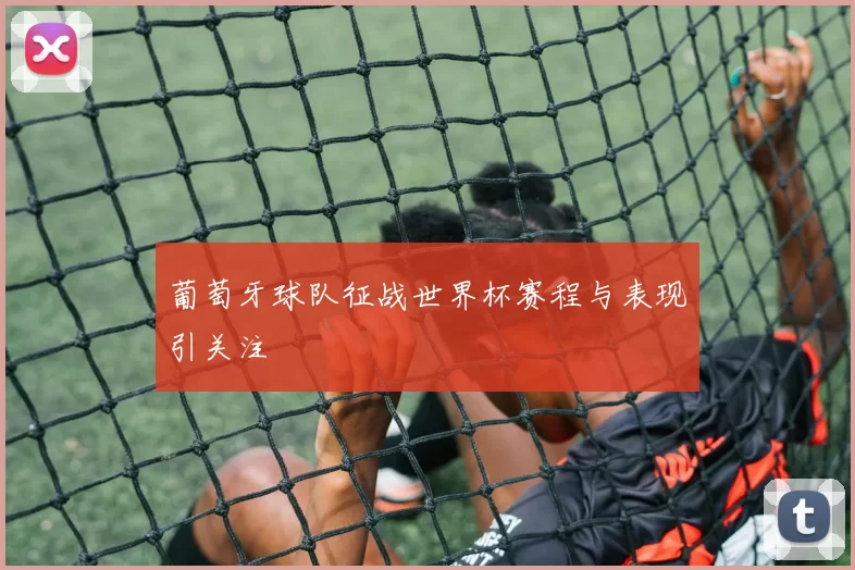 葡萄牙球队征战世界杯赛程与表现引关注