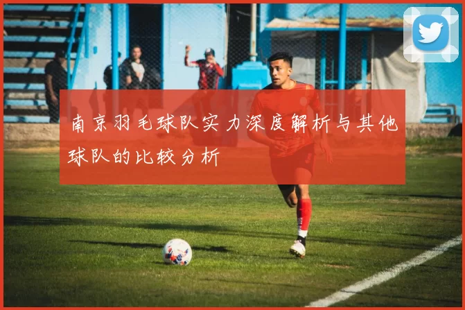 南京羽毛球队实力深度解析与其他球队的比较分析