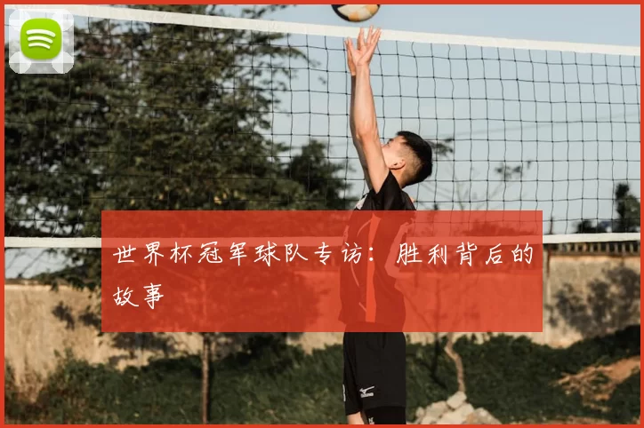 世界杯冠军球队专访：胜利背后的故事