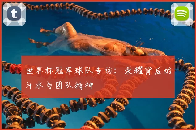世界杯冠军球队专访：荣耀背后的汗水与团队精神