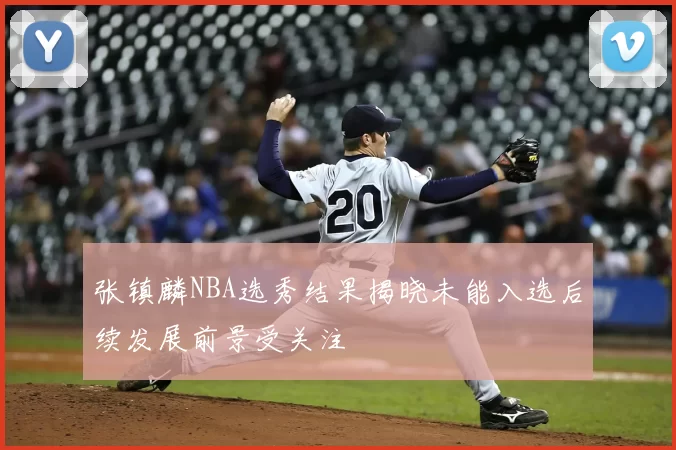 张镇麟NBA选秀结果揭晓未能入选后续发展前景受关注