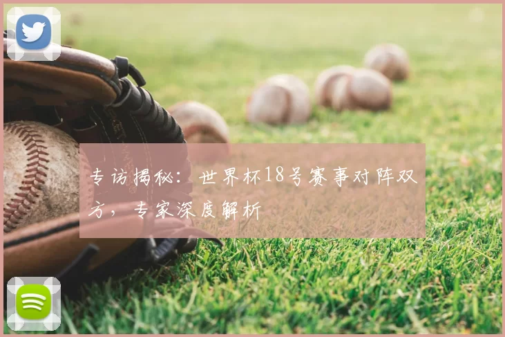 专访揭秘：世界杯18号赛事对阵双方，专家深度解析