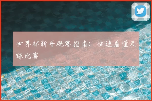 世界杯新手观赛指南：快速看懂足球比赛