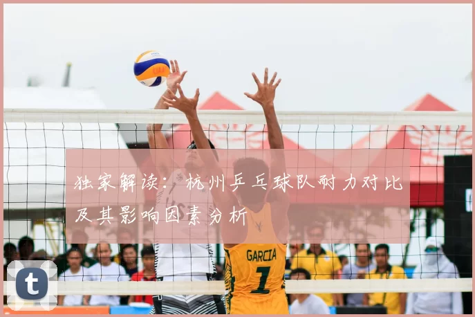 独家解读：杭州乒乓球队耐力对比及其影响因素分析