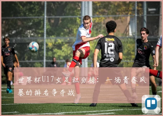 世界杯U17女足积分榜:一场青春风暴的排名争夺战