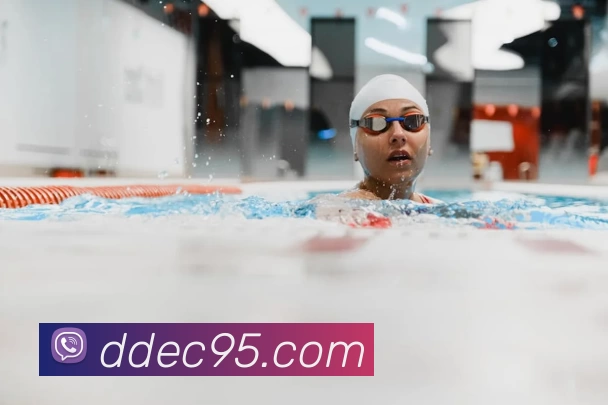 华体会体育平台生态图