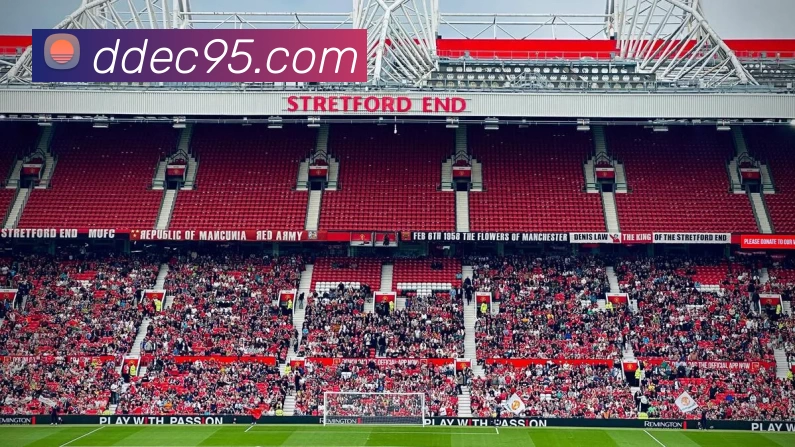 华体会体育APP 封面图